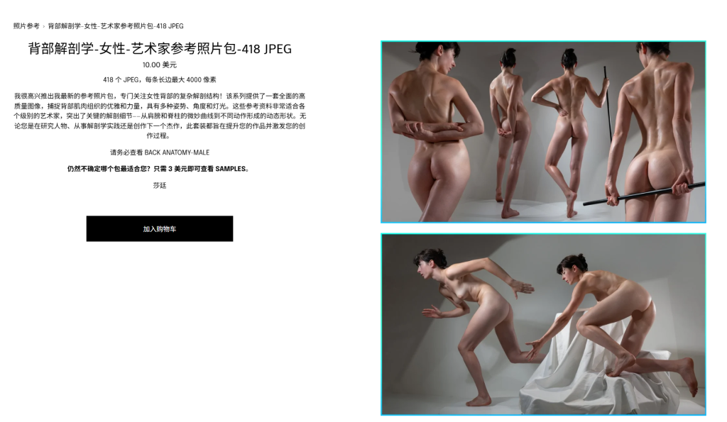 背部解剖学-女性-艺术家参考照片包-418 JPEG-虚幻之初