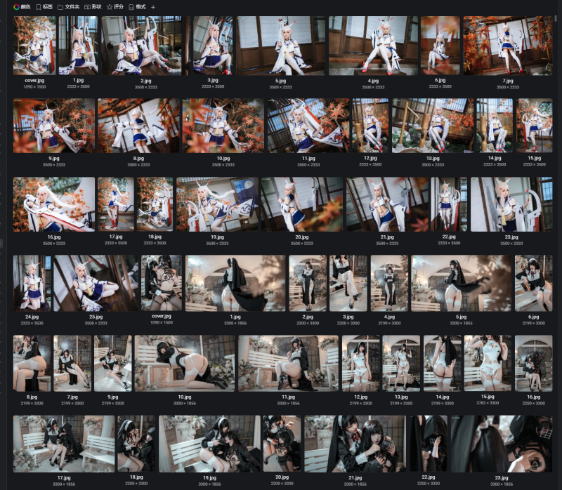 上千套cos图合计180643张 18万 600G左右-虚幻之初