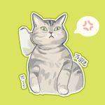 roki的头像-虚幻之初