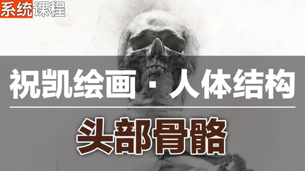 《素描入门到精通：头部骨骼结构解析（祝凯授课）》-虚幻之初