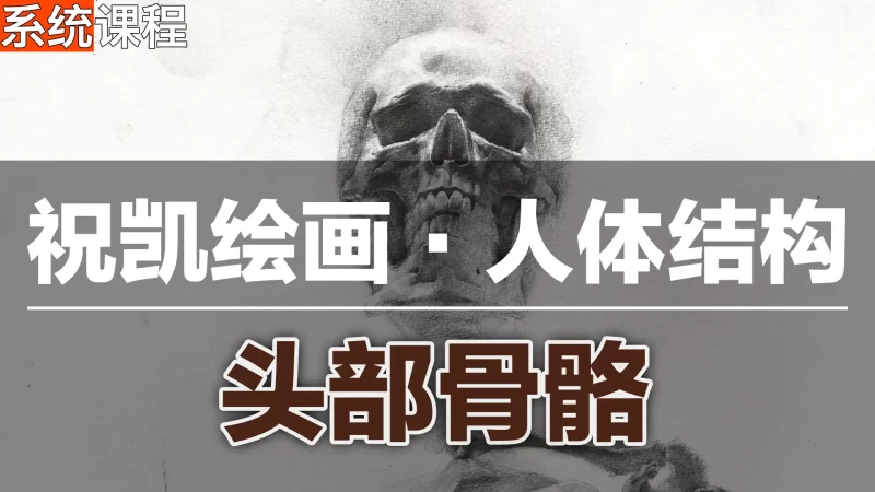 《素描入门到精通：头部骨骼结构解析（祝凯授课）》-虚幻之初
