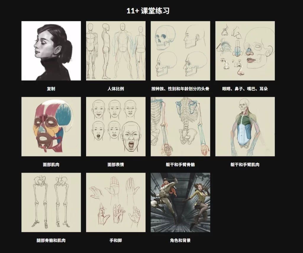 图片[2]-根据解剖学绘制人体 插画师 Jeonghyun Seok-虚幻之初