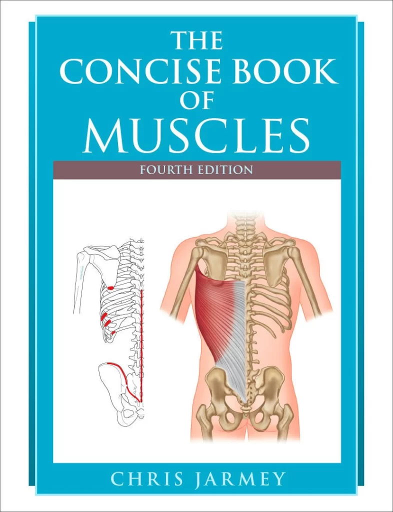 肌肉简明图解（Chris Jarmey 著）The Concise Book of Muscles by Chris Jarmey (EPUB)-虚幻之初