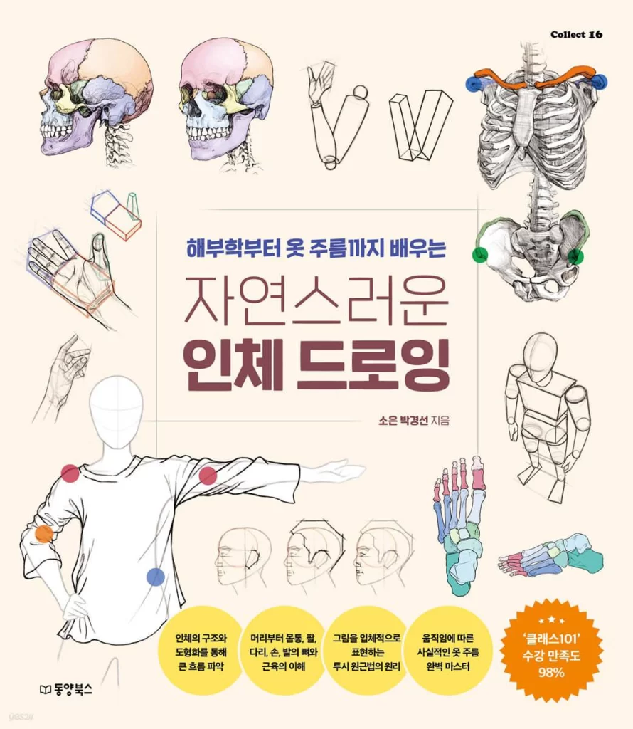 Natural Human Body Drawing: Learning from Anatomy to Clothing Folds》自然人体绘画：从解剖到服装褶皱的学习-虚幻之初