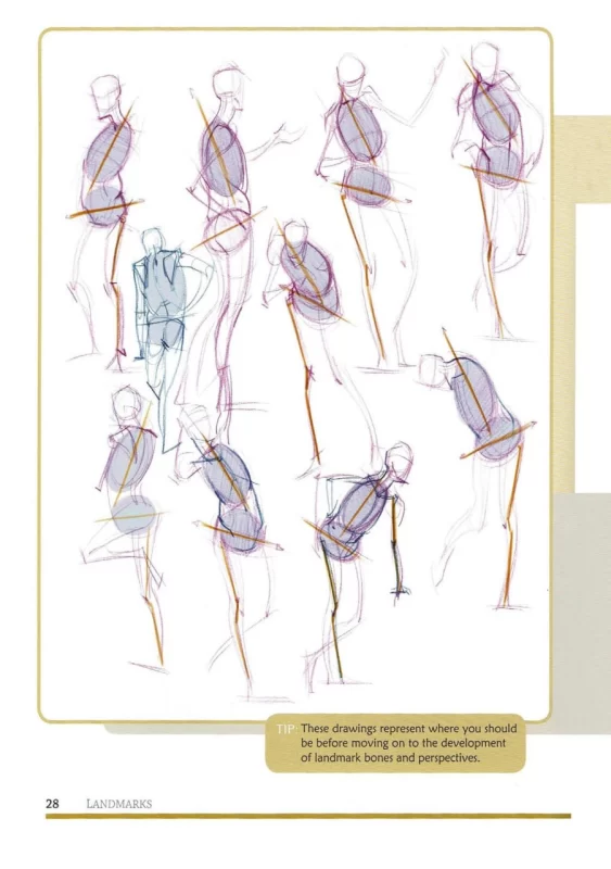 迈克尔·汉普顿《人体素描：设计与发明》 | Michael Hampton - Figure Drawing: Design and Invention-虚幻之初