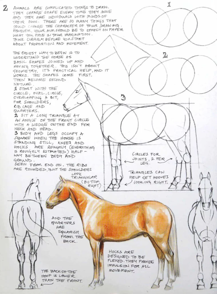 图片[5]-艾伦的马匹绘画与素描书 / Ellen’s Horse Painting and Drawing Book-虚幻之初