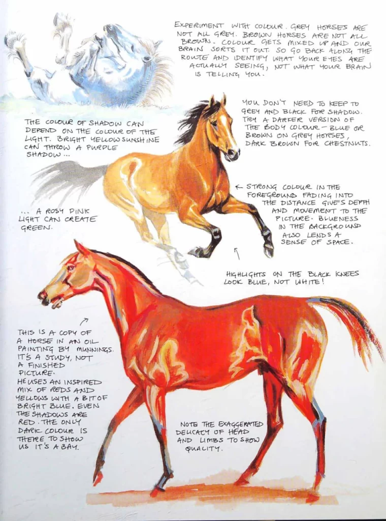 图片[2]-艾伦的马匹绘画与素描书 / Ellen’s Horse Painting and Drawing Book-虚幻之初