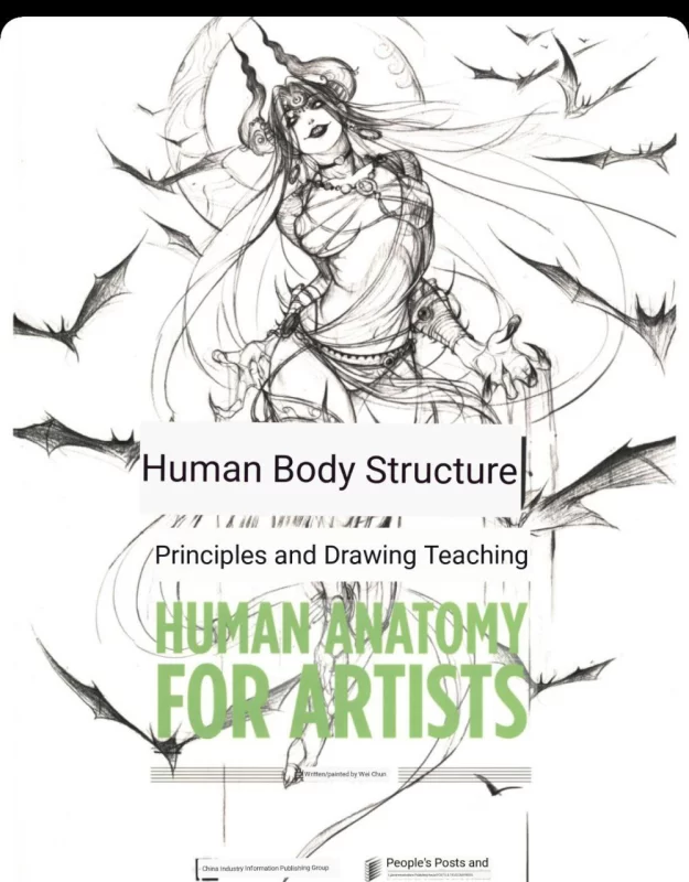 人体结构：给画师的人体解剖（原理与绘画教学）Human Body Structure — Human Anatomy for Artists: Principles and Drawing Teaching-虚幻之初