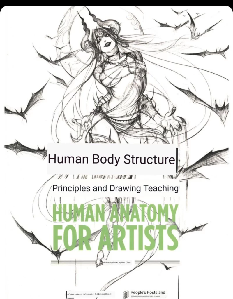 人体结构：给画师的人体解剖（原理与绘画教学）Human Body Structure — Human Anatomy for Artists: Principles and Drawing Teaching-虚幻之初