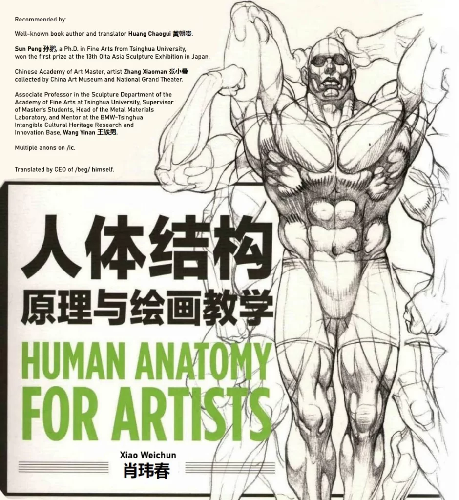 -肖伟春 - 艺术家人体解剖学 PT BR 葡萄牙语翻译版本-虚幻之初