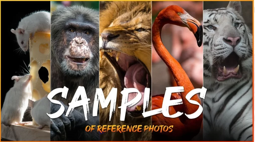 图片[6]-样本 – 超级参考照片包 – 1064 张 JPEG 无 AISample – Super Reference Photo Pack – 1064 JPEGs no AI-虚幻之初