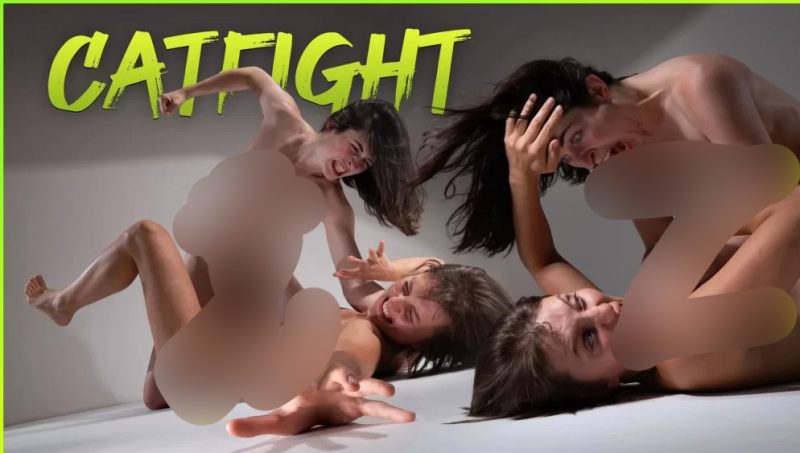 猫斗 - 艺术家参考照片包 184 张 JPEG 无 AICatfight - Reference Photo Package for Artists 184 JPEGs no AI-虚幻之初