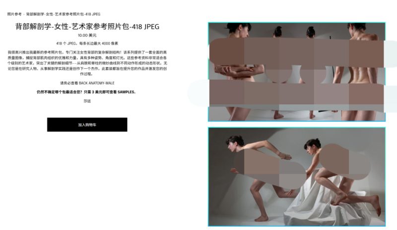 背部解剖学-女性-艺术家参考照片包-418 JPEG-虚幻之初