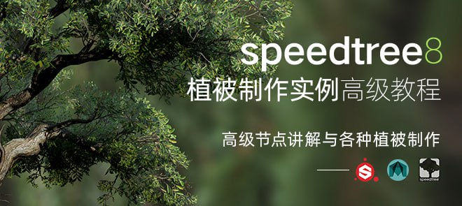 SpeedTree8—植被制作实例高级教程【案例讲解课】 | SpeedTree 8 — Advanced Vegetation Creation with Practical Examples [Case Study Course]-虚幻之初