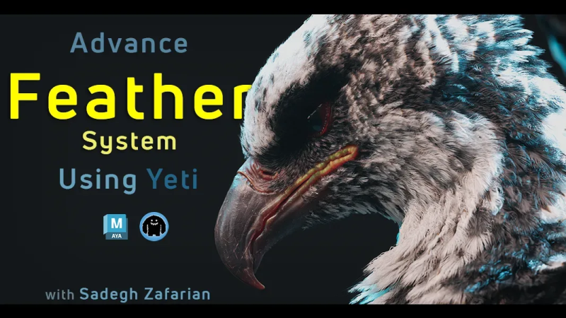 利用Yeti的高级羽毛系统–羽权制作-虚幻之初