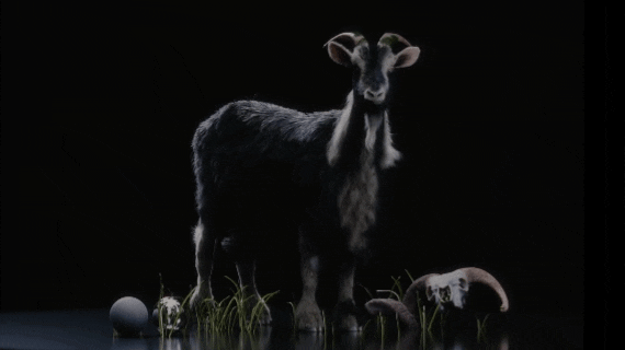 胡迪尼中的羊皮纸发丝模拟 与Saravmit Singh合作的制作级角色特效工作流程-虚幻之初