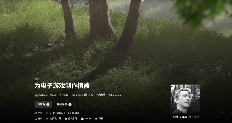 为电子游戏制作植被 SpeedTree、Maya、ZBrush、Substance 和 UE5 工作流程，Colin Valek-虚幻之初
